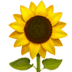 :sunflower: