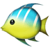 :tropical_fish: