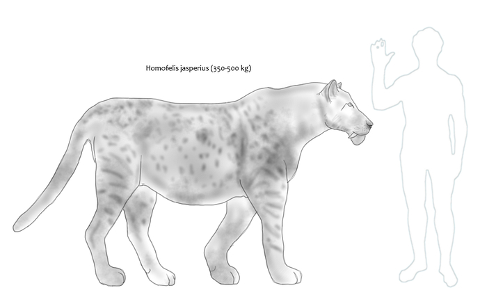 Homofelis