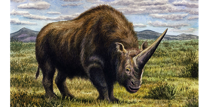 Woolly Unicorn (Elasmotherium sibiricum)